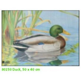 JVD tőkés réce lőlap